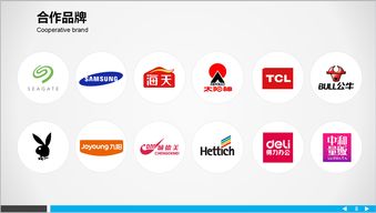 广州思淘电商平台运营深度解析 靠谱性探讨与模式观察