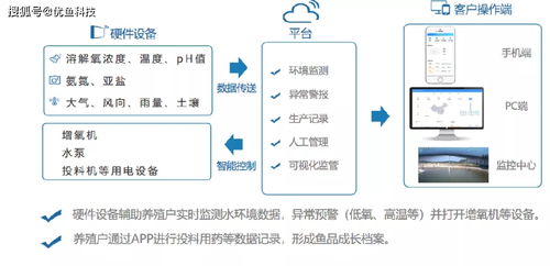 数字渔业新篇章 优鱼科技以电子化与电商平台赋能水产养殖现代化