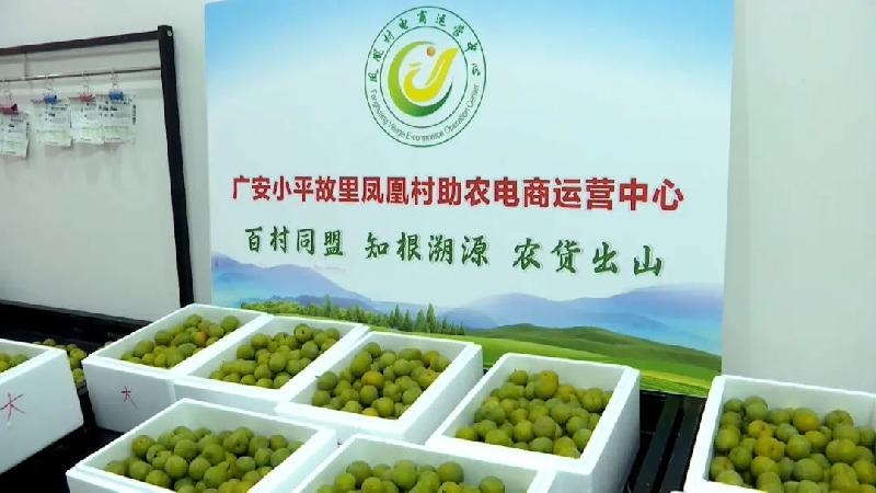 岳池电商兴农 平台运营赋能农产品“触网”生金